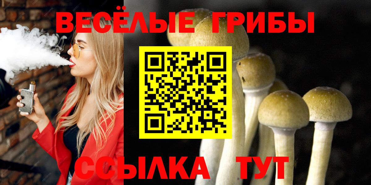 Галлюциногенные грибы мицелий  Вход с VPN  Камышлов  Псилоцибиновые грибы Psilocybine cubensis 